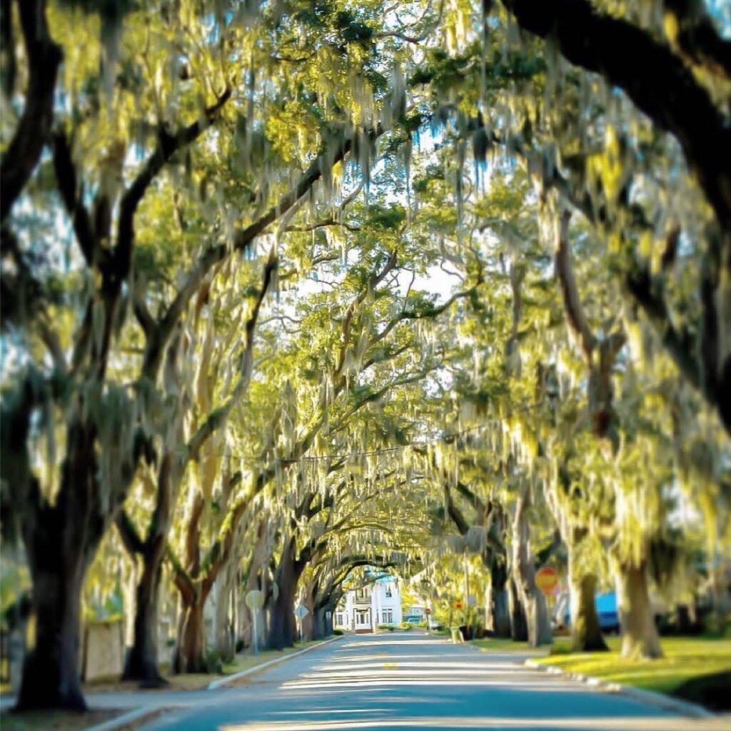 The Best Places To Take A Photo In St Augustine The Local St 